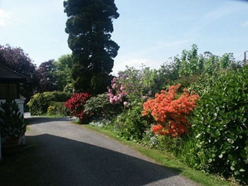 Gwyndra House B&B St Austell Exterior foto